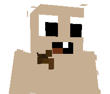 E1din_'s skin