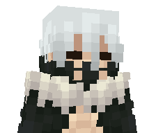 ZipdXd's skin
