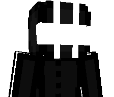 C1tron's skin