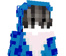 Wowa_0_0's skin