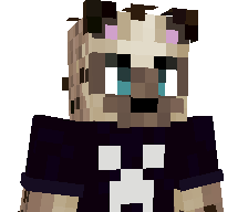 Brycecrafter27's skin