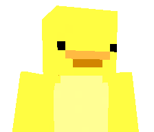 Beilamuhrlund's skin