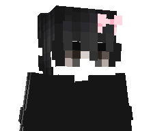 Technoblade395's skin