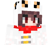 Nova0803r's skin