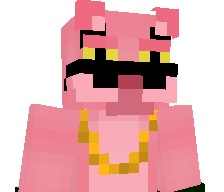 IzNasterrMC's skin