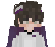 SDXDN's skin