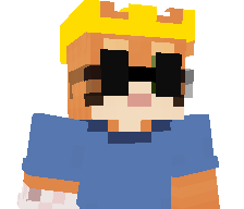 1Veerupro100_yt1's skin