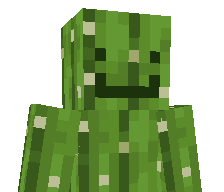 EnderDizzy's skin