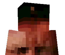 dontpaytaxes123's skin