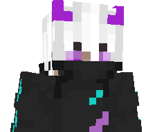 sneakspeedninja's skin