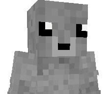 Robbe5's skin
