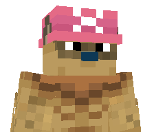 Ch0ppeur's skin