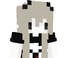 loadouts's skin