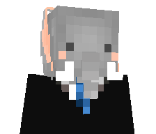 elephfant's skin