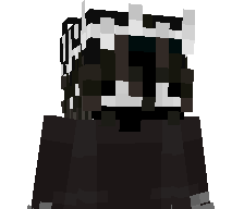 _SkyV1nity_'s skin