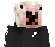 MrDuckMan4208's skin