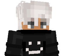 havox3738's skin