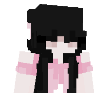 stealerboi's skin