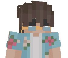 sebatruck's skin