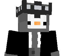 DerKryptoPingu's skin