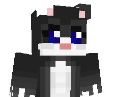 1r1p's skin