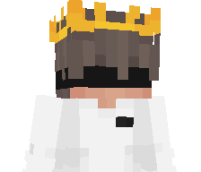 So1eryt's skin