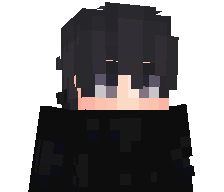 its_dise's skin
