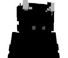 Nidawee's skin