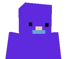 pigeon2222's skin