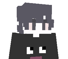 xwizyr's skin