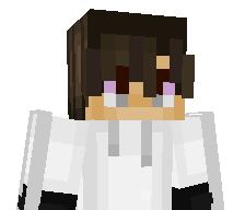 SteamWire's skin