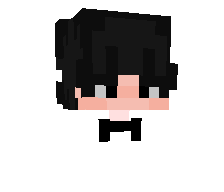 SIMAS2211's skin