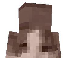 ziptei's skin