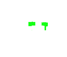Terer_'s skin
