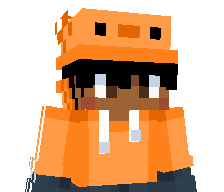 Hornet_is_Void's skin