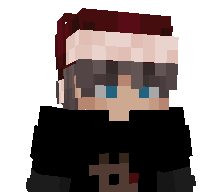 holidaySeg3al's skin