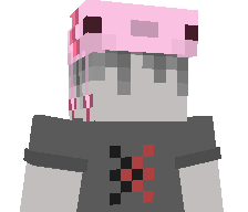 CZORT_PIES's skin