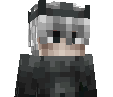 Activity's skin