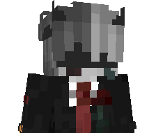 zNicox_'s skin