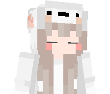 ddninja23's skin