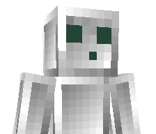 23fast's skin