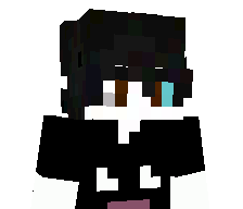 LilTwinBop's skin