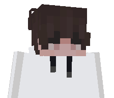 TeamHaus's skin