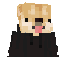 kokosek1234's skin