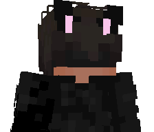 SONIONIONIONION's skin