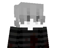 Mr_niedzwiedz248's skin