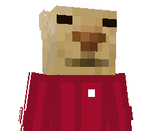 Neveekeu's skin
