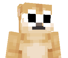 StreamHack's skin