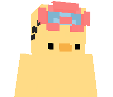 FightingDucky's skin