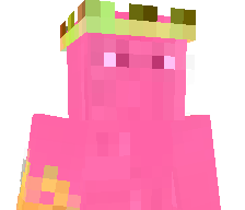 pxnku's skin